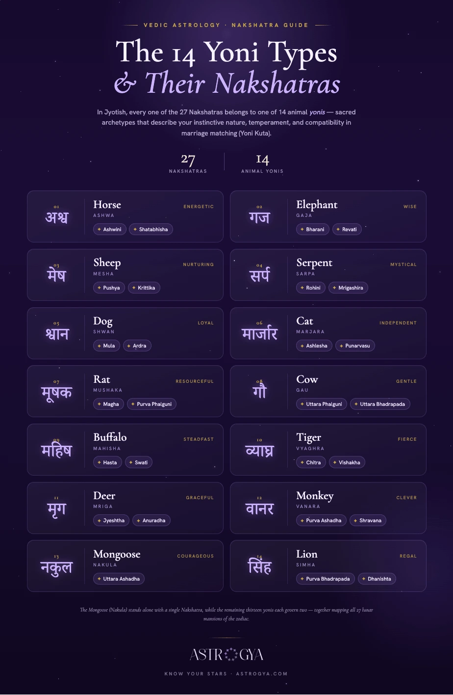 Yoni-Infographic Astrogya.webp